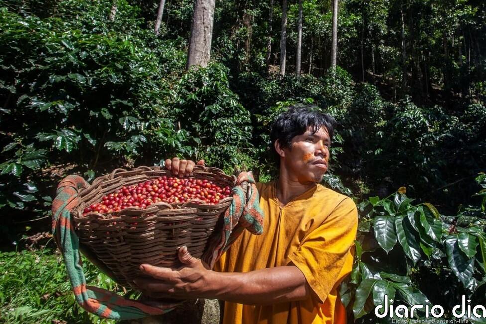 COP16: Guía para entender el mecanismo que confronta a países ricos con los megadiversos