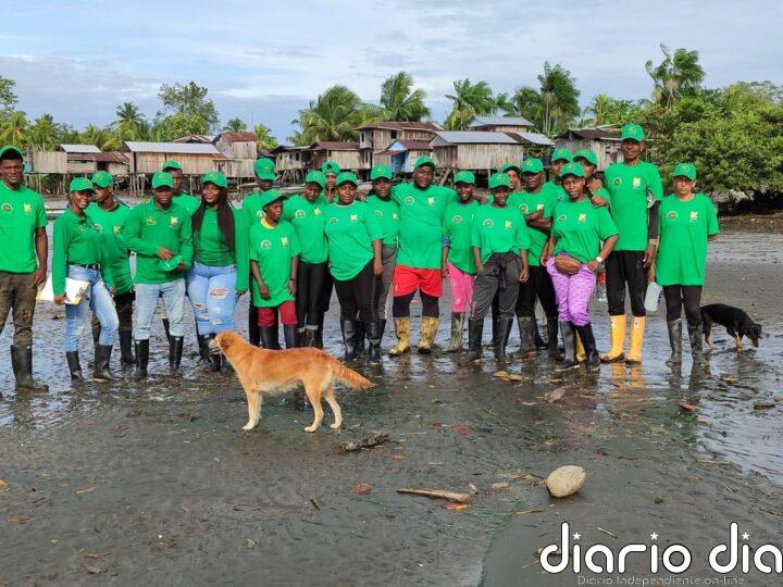 COP16: la hora de los manglares del Pacífico colombiano