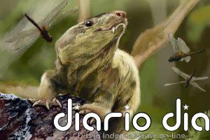 El cambio a postura erguida en mamíferos fue complejo y más tardío