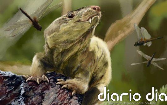 El cambio a postura erguida en mamíferos fue complejo y más tardío