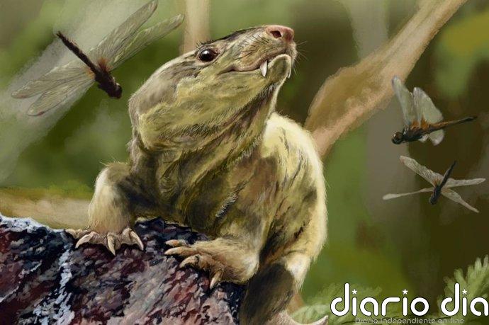 El cambio a postura erguida en mamíferos fue complejo y más tardío