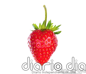 El Ministerio de Sanidad asegura que las fresas con Hepatitis A no llegaron al consumidor - Agencia de Noticias