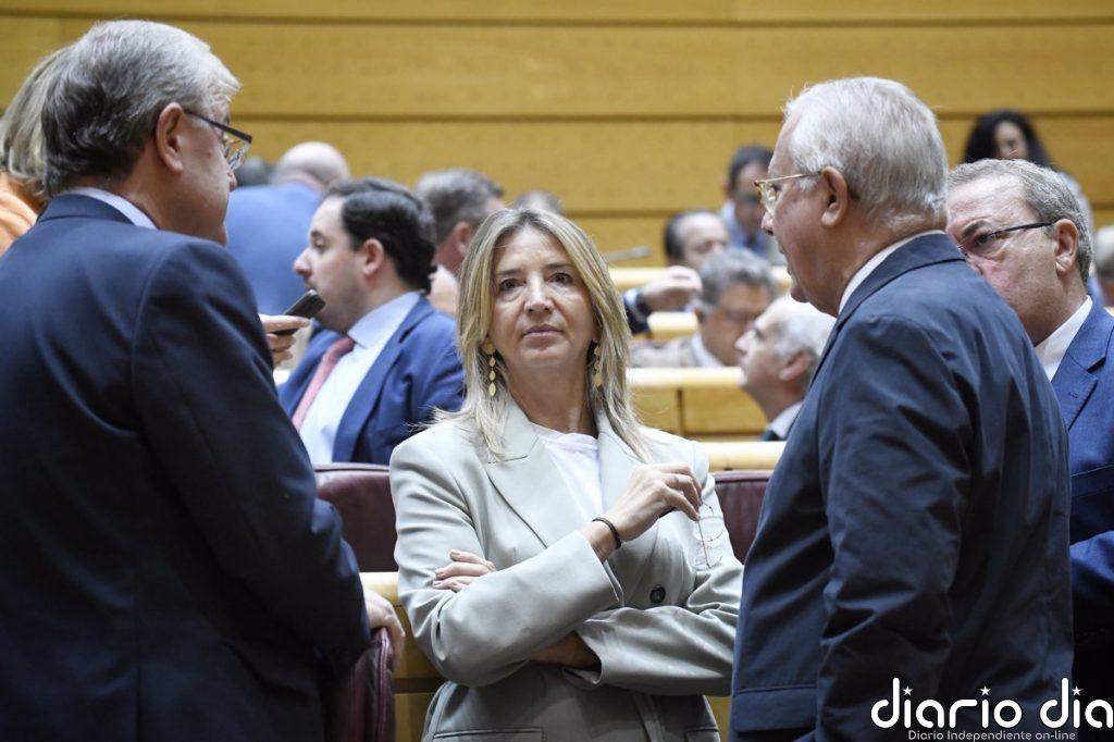 El PP pedirá la comparecencia urgente de Óscar Puente en el Senado por el "caos ferroviario"
