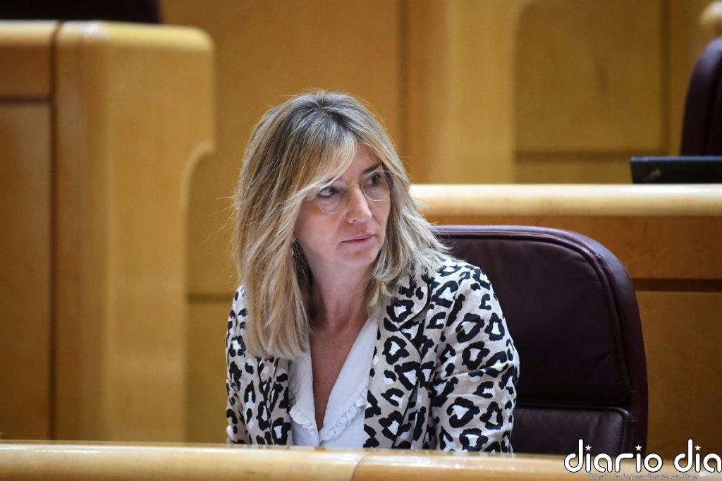 El PP reclama al Gobierno un mapa de transporte regular que "no discrimine a la España rural"