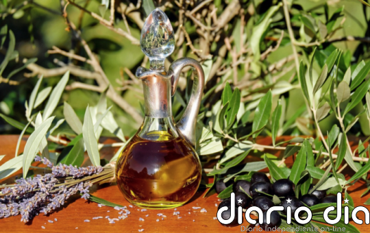 En España el aceite de oliva virgen extra de marca blanca es más caro que en el resto de Europa - Agencia de Noticias