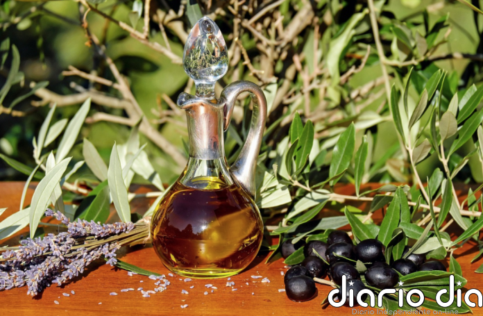 En España el aceite de oliva virgen extra de marca blanca es más caro que en el resto de Europa - Agencia de Noticias