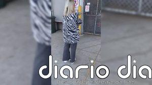 Esta pareja espero a que su cachorro llegase desde la otra punta del país: este fue el recibimiento