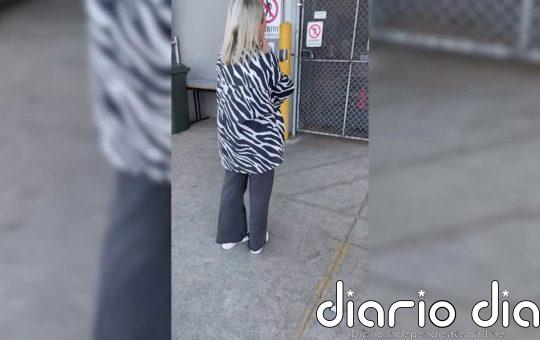 Esta pareja espero a que su cachorro llegase desde la otra punta del país: este fue el recibimiento