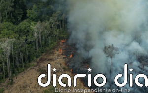 Fósiles y biodiversidad, un vínculo obligado para América Latina