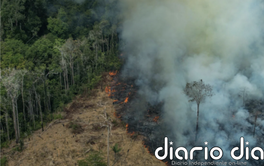 Fósiles y biodiversidad, un vínculo obligado para América Latina