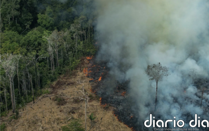 Fósiles y biodiversidad, un vínculo obligado para América Latina
