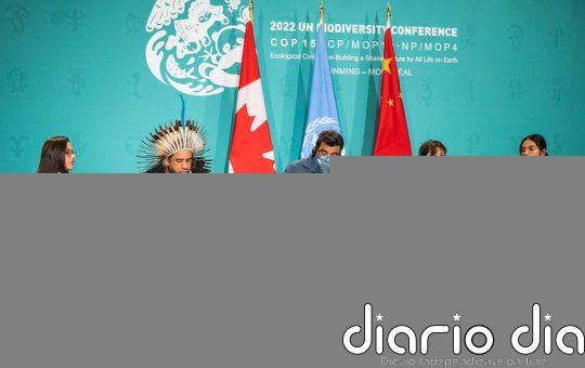 Guardianes de la biodiversidad: el rol de indígenas amazónicos en la COP16