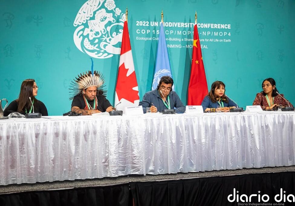 Guardianes de la biodiversidad: el rol de indígenas amazónicos en la COP16