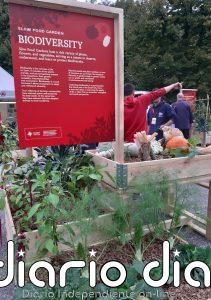 IPBES pide un cambio transformador para hacer frente a la pérdida de biodiversidad