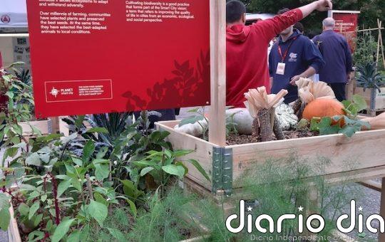 IPBES pide un cambio transformador para hacer frente a la pérdida de biodiversidad