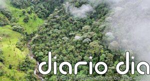 La extinción masiva en un bosque nuboso ecuatoriano fue un espejismo