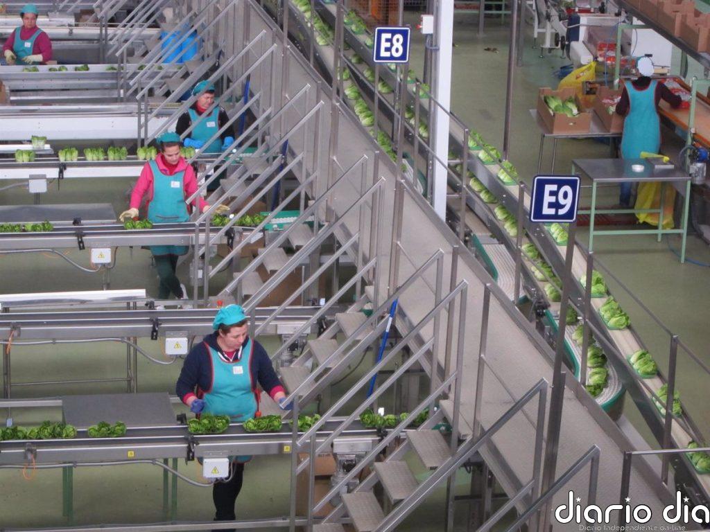 La industria alimentaria reivindica la innovación como "obligación para diferenciarse" de la marca blanca