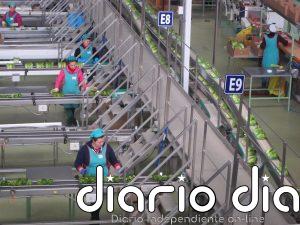 La industria alimentaria reivindica la innovación como "obligación para diferenciarse" de la marca blanca