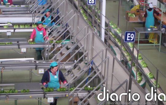 La industria alimentaria reivindica la innovación como "obligación para diferenciarse" de la marca blanca