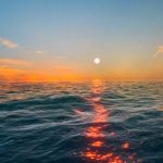 La temperatura de los océanos bate su récord histórico situándose en 21,1°C de media - Agencia de Noticias