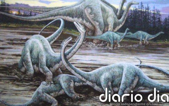 Las colas de los diplodocus eran veloces látigos pero no supersónicos