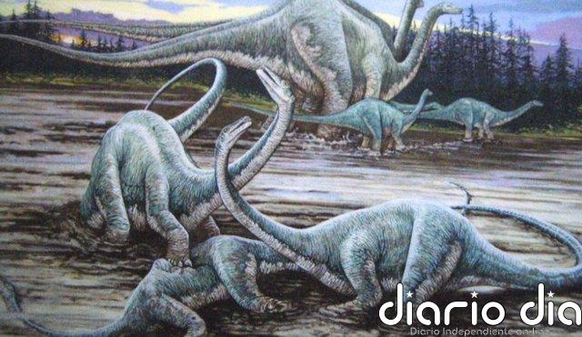 Las colas de los diplodocus eran veloces látigos pero no supersónicos Diplodocus