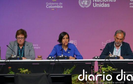 ¿Logrará la COP16 participación de los indígenas en las decisiones sobre biodiversidad?