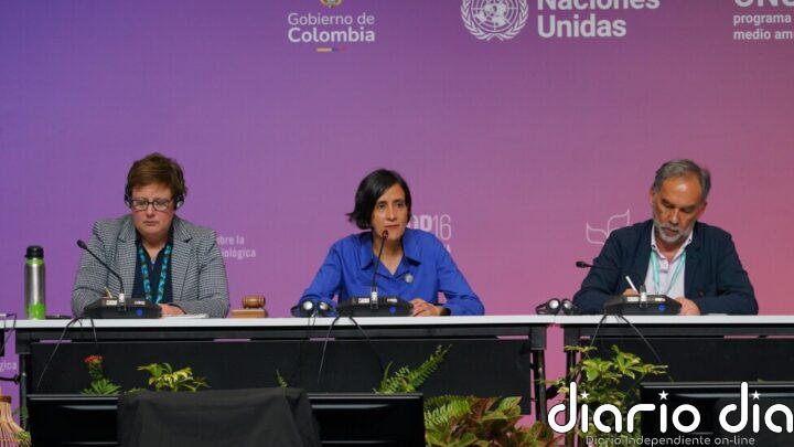 ¿Logrará la COP16 participación de los indígenas en las decisiones sobre biodiversidad?
