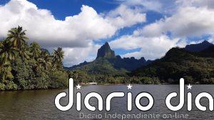 Más del 30% de plantas vive en islas, aunque estas ocupan poco más del 5% de la superficie terrestre, según un estudio