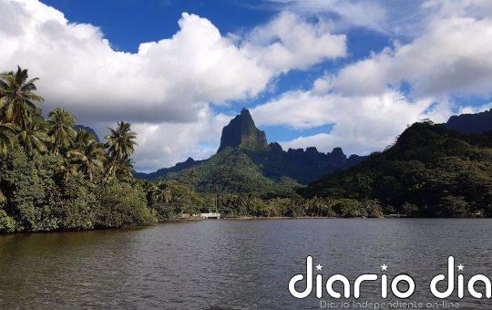 Más del 30% de plantas vive en islas, aunque estas ocupan poco más del 5% de la superficie terrestre, según un estudio