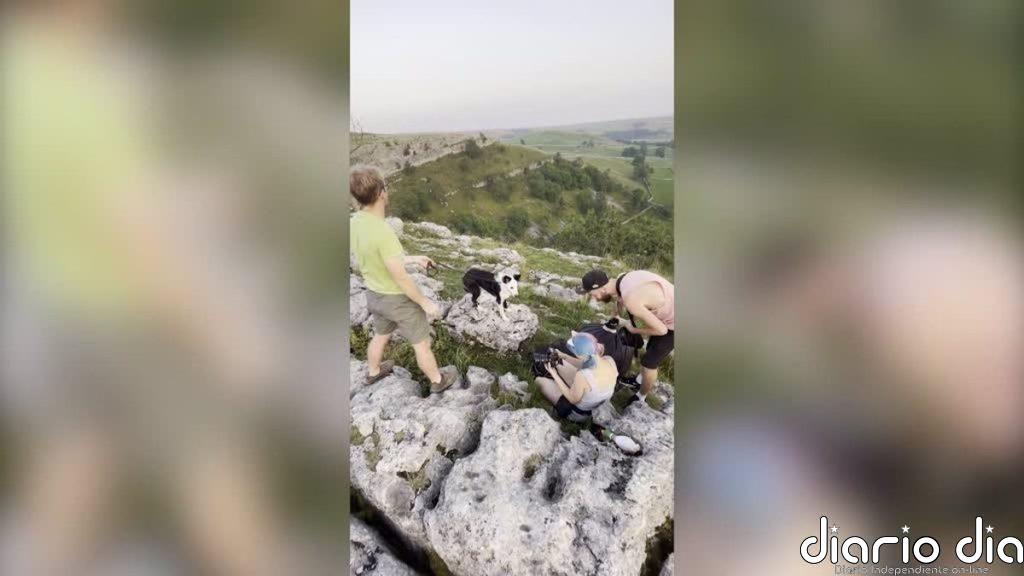 Mira el trabajo de esta particular fotógrafa de perros que viaja por todo el mundo