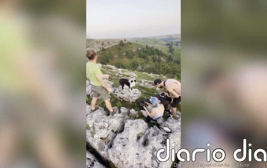 Mira el trabajo de esta particular fotógrafa de perros que viaja por todo el mundo