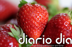 Nueva alerta europea por Hepatitis A en fresas procedentes de Marruecos - Agencia de Noticias