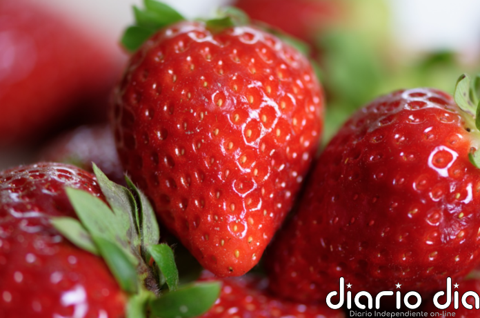 Nueva alerta europea por Hepatitis A en fresas procedentes de Marruecos - Agencia de Noticias