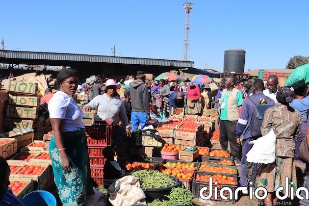 Por qué África debe adoptar los mercados territoriales ante las crisis climáticas