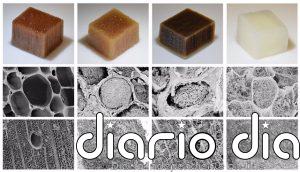 Producen electricidad de madera sumergida en agua