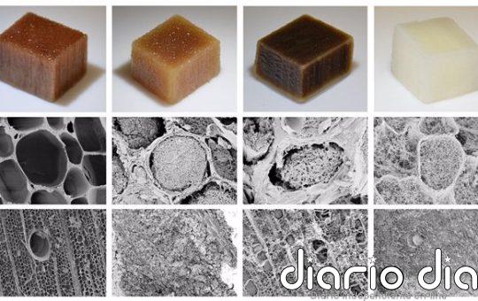 Producen electricidad de madera sumergida en agua