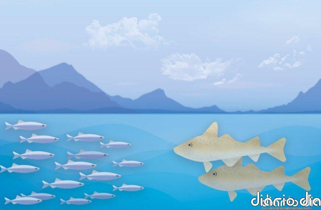 Registrado en el mar de Noruega el mayor evento de depredación masiva