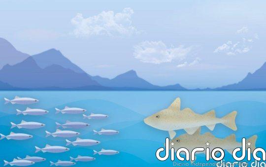 Registrado en el mar de Noruega el mayor evento de depredación masiva