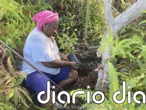 Territorios del Pacífico construyen seguridad hídrica para la próxima generación