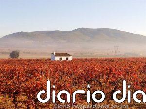 Un mapa de la crisis del viñedo europeo por el cambio climático