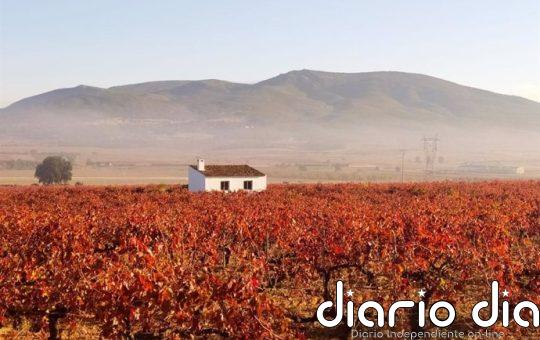 Un mapa de la crisis del viñedo europeo por el cambio climático