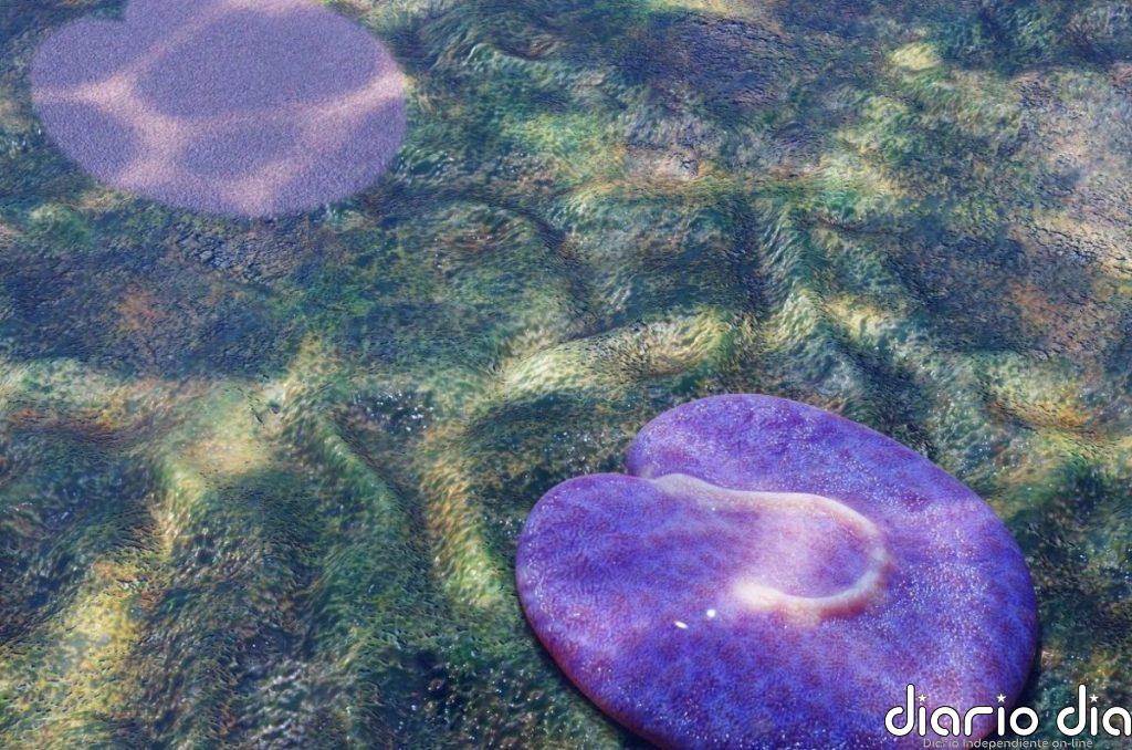 Uno de los primeros animales de la Tierra parecía un robot aspiradora