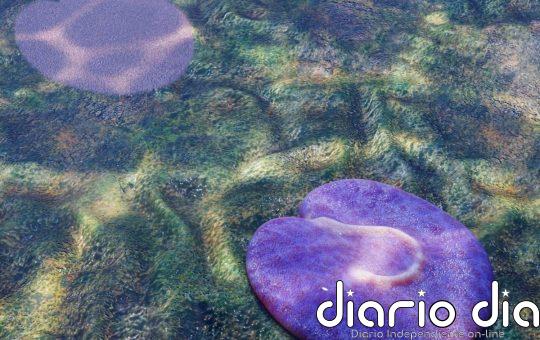 Uno de los primeros animales de la Tierra parecía un robot aspiradora