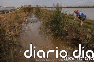 Aumentan a 215 los fallecidos por la DANA en Valencia