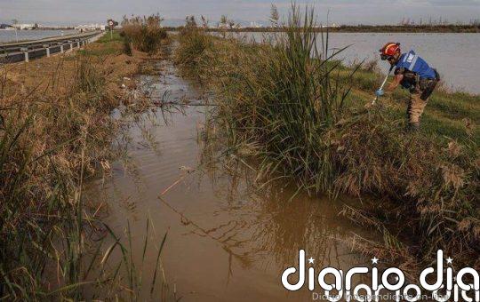 Aumentan a 215 los fallecidos por la DANA en Valencia