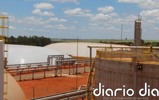 Brasil fomenta un mercado mundial de biocombustibles más libre