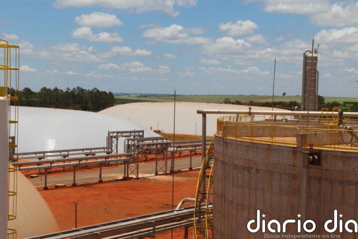 Brasil fomenta un mercado mundial de biocombustibles más libre