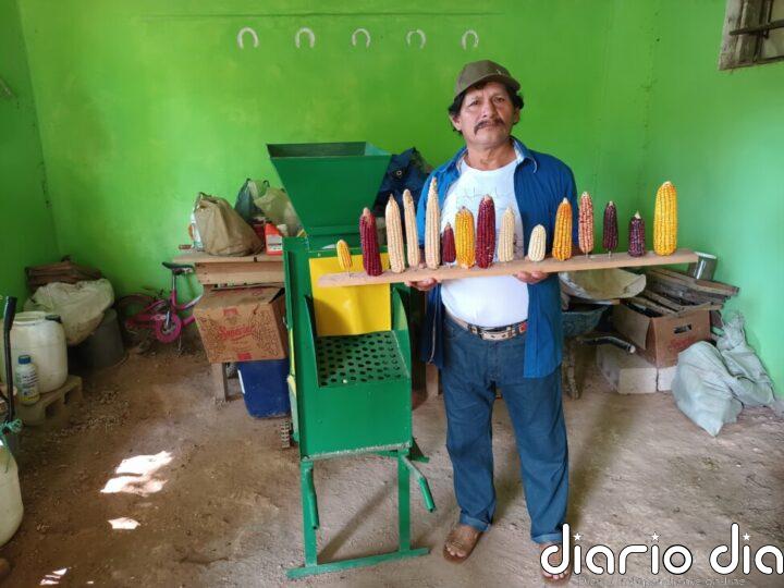 Campesinos mayas mejoran su vida y el policultivo de la milpa en México