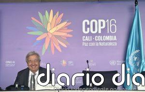 Defensa de la biodiversidad en conflictos armados: ¿Responderá la COP16 a las expectativas?